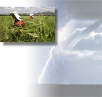 Agricultural workers in a field; a tornado and lightning stirke.