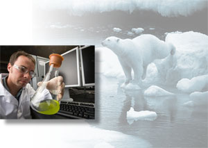 A scientist in a lab coat holding a flask of green liquid; a polar bear on an ice flow.
